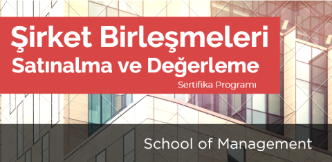 Şirket Birleşmeleri, Satınalma ve Değerleme
