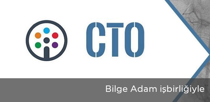CIO / CTO Academy